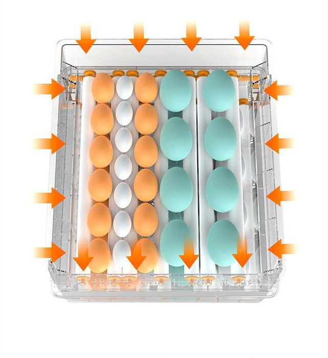 Ролков напълно Автоматичен инкубатор MS-120 яйца (12V/220V)