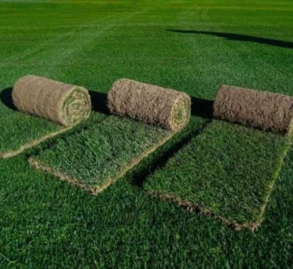 Gazon Rulou Sisteme de Irigare