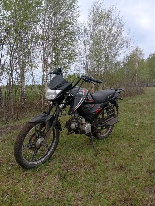 Альфа чамп 125 куб