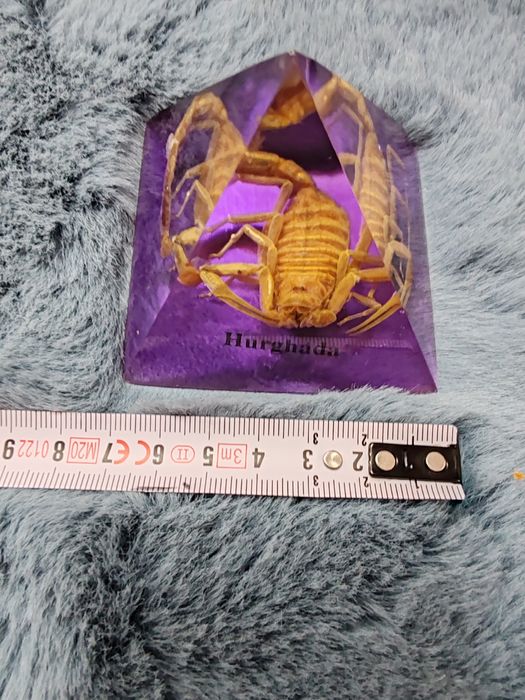 Piramida Egipt scarabeu