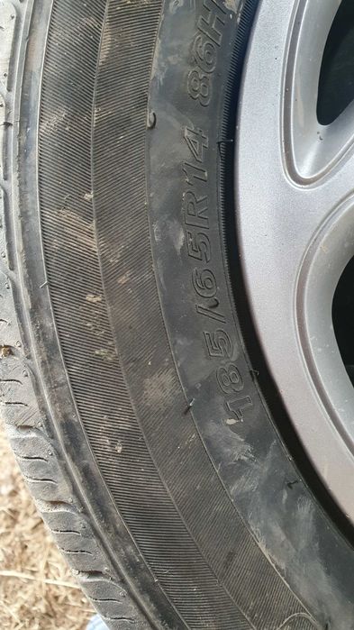 14 balon kalpak diskasi bilan