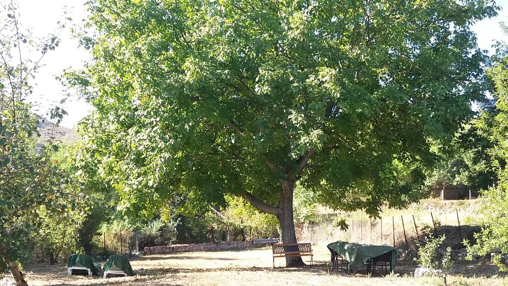 Къща под наем в Самоводене