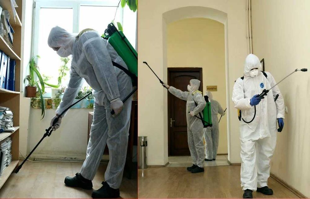 dezinfeksiya klapa dezinfeksiya tashkent дезинфекция клопов