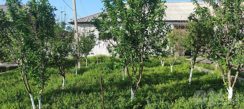 Ховли сотилади нарпай 5-булим