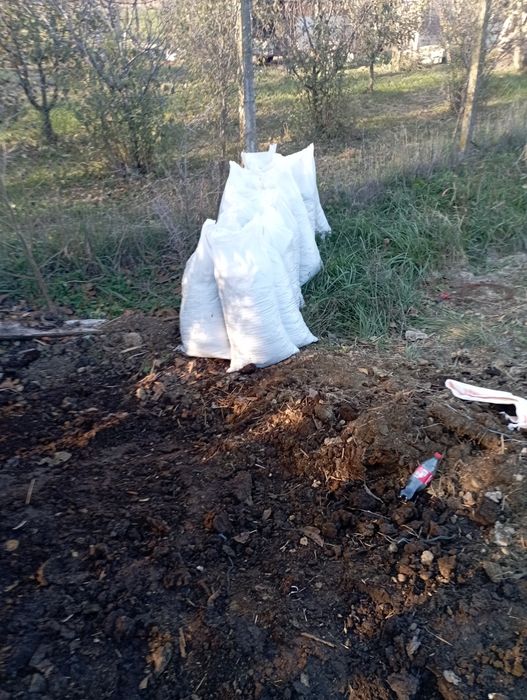Mraniță de vaca bine fermentata la sac