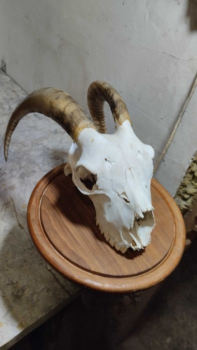 Декор, украса, сувенир