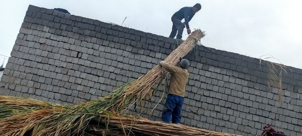 Ломбоз учун  камиш лобозга ишлатгани 1.5 кв 5 см 10 см калинликда йопа