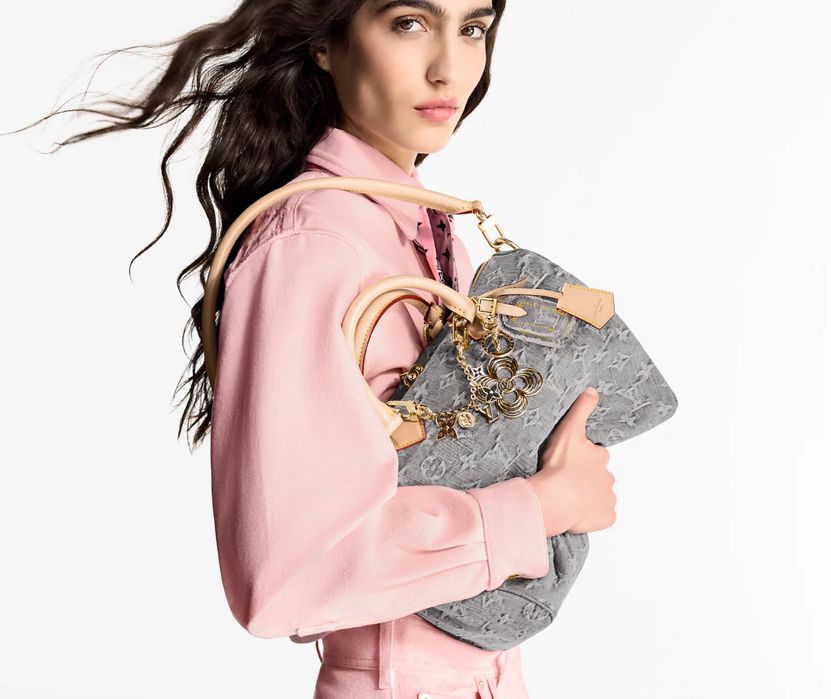 Сумка LV Louis Vuitton Speedy Soft 30