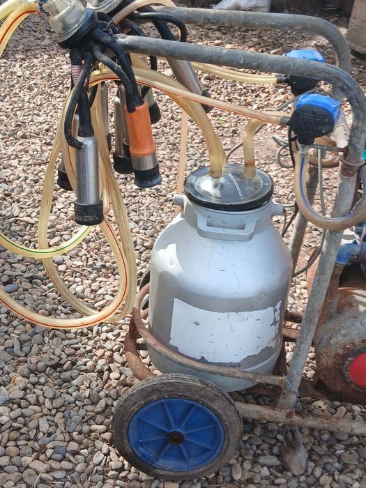 Vând mașina de muls