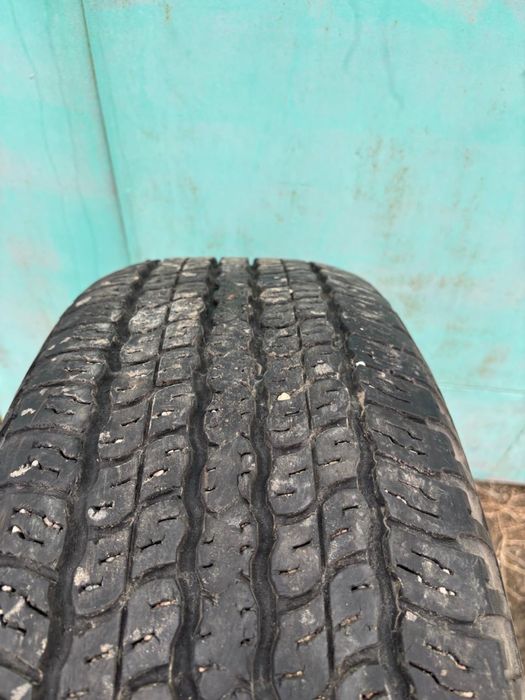 Автомобильные шины