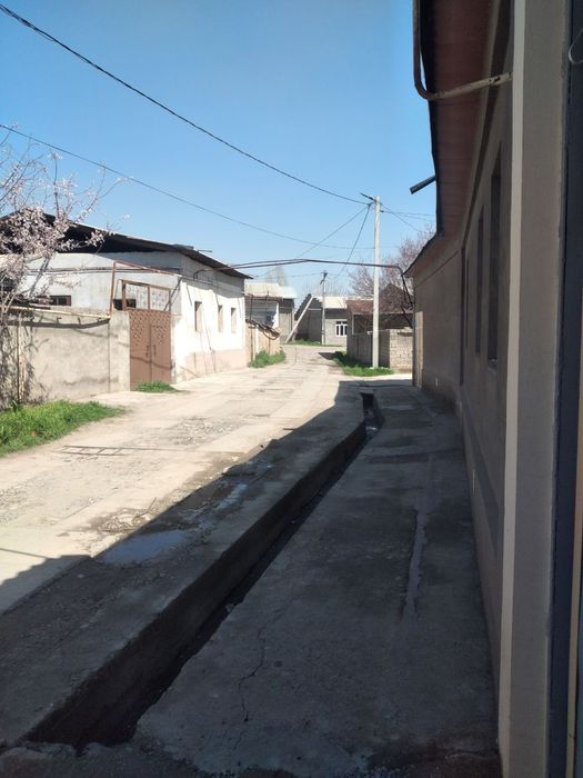 Soʻrchni sotilad narxini kelshmiza