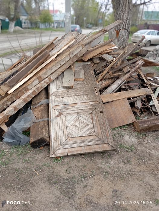 Отдам даром тегин беремин