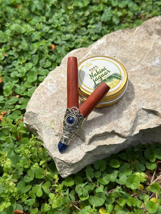 рапэ очищающие сознания