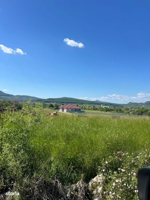 Oportunitate de investitie,Valea ghinzii,Teren de 1,2 Hectare