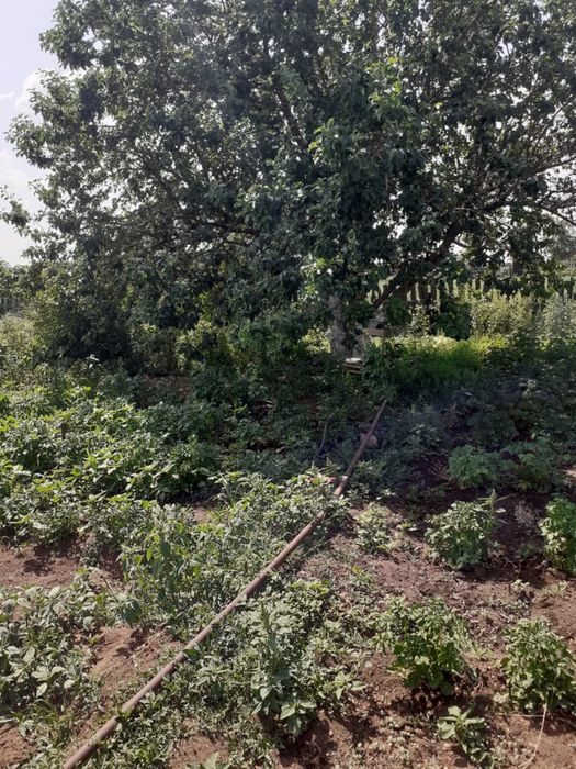 Прадам дачу общество Союз