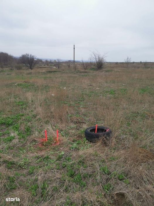 TEREN INTRAVILAN 306 mp – Palazu Mare, Constanta - Ocazie Unica