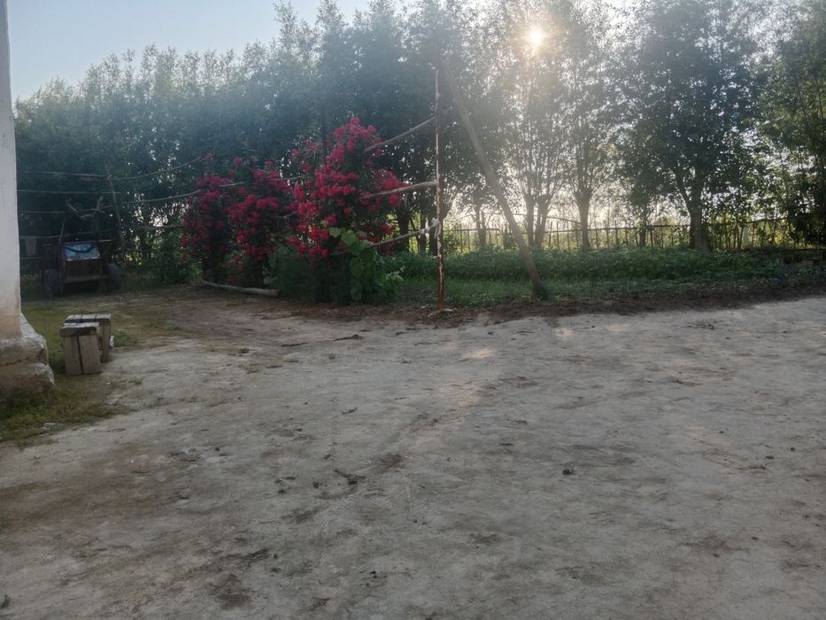 Ташкент в Бука Бука мфй қудайқул махалласи