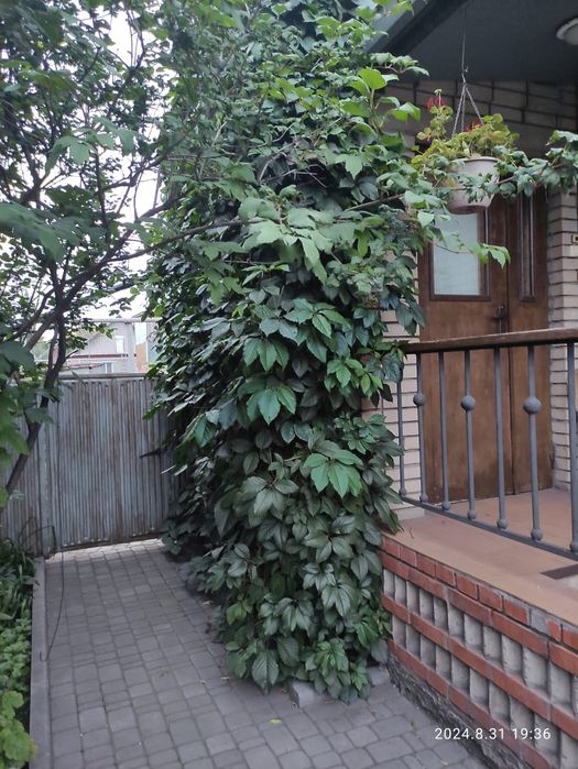 Продам коттедж 6мкрн