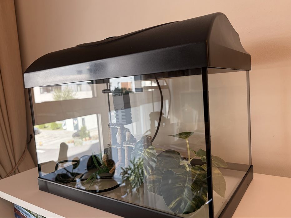 Acvariu 22 litri - complet, cu decoratiuni incluse