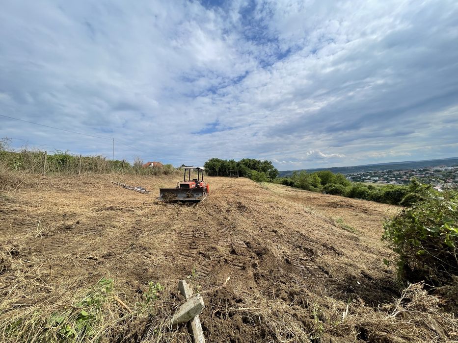 Defrisare, curatare teren, tocare forestiera