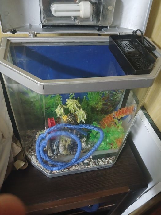 Аквариум без рыбок