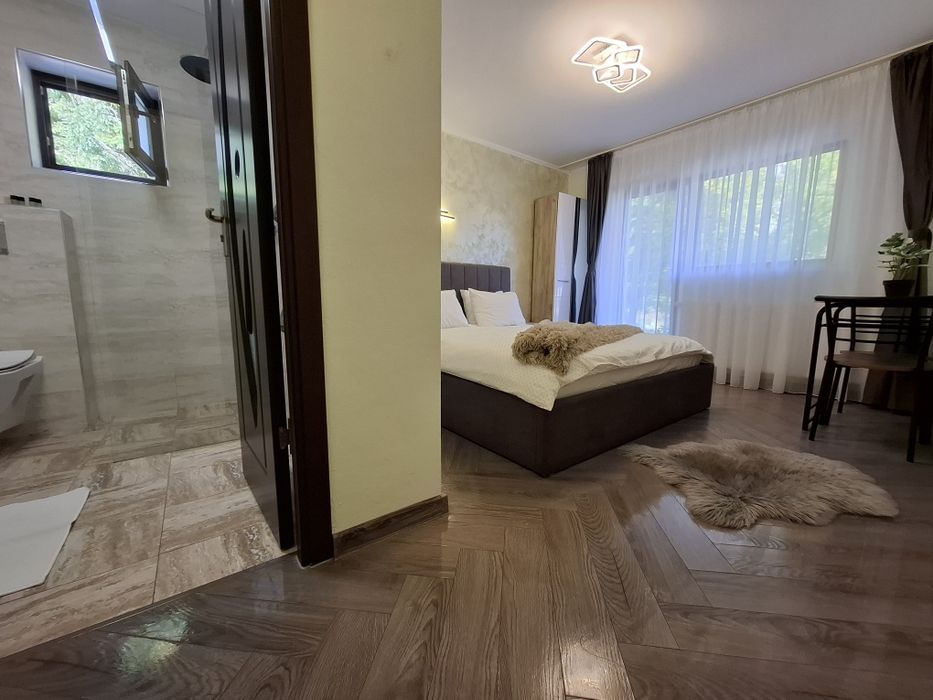 Cazare Vila Monica Busteni
