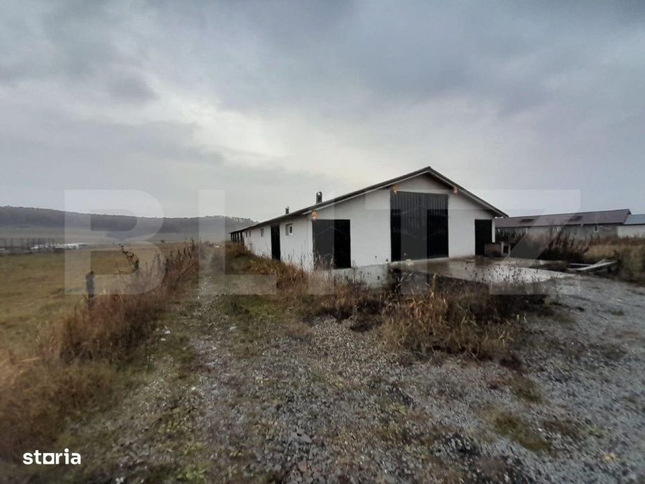 Casa individuala,180mp, 5000 mp teren plus Hala 550mp.CEPARI