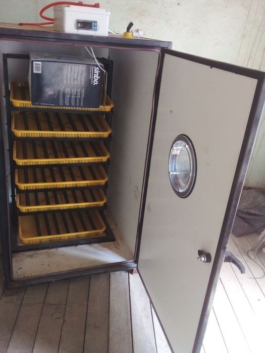 Inkubator 500 talik