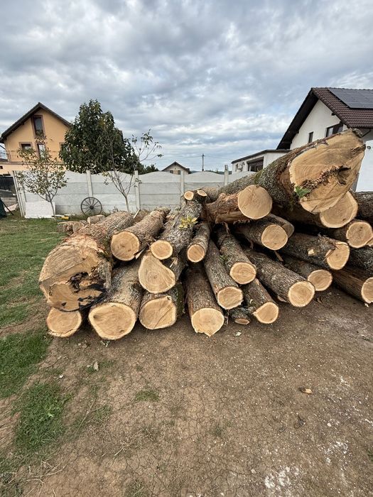 Lemn de foc Simeria 350 adus acasă