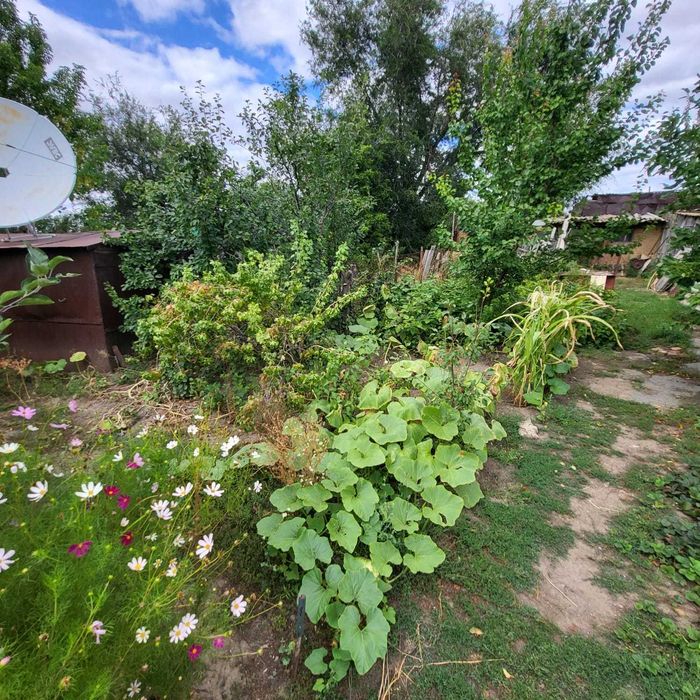 Продам дом в селе Достык