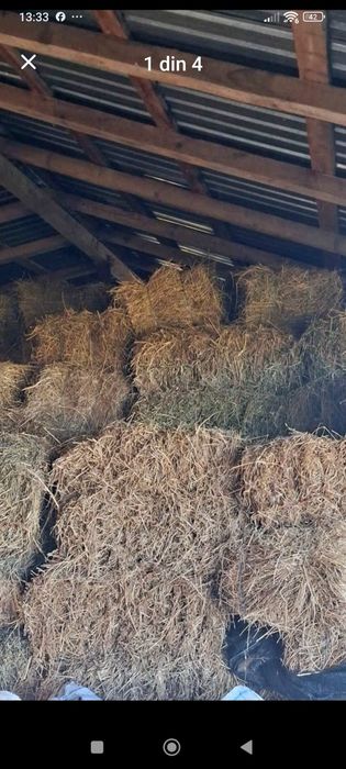 Baloți delucernă cu fîn