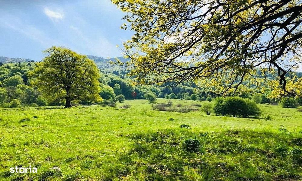 Teren Potential Turistic - Rasnov - Cheisoara