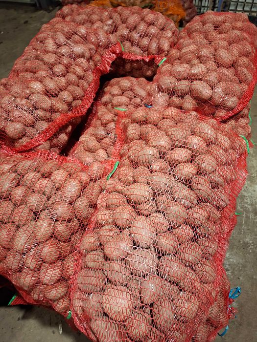 Cartofi pentru animale