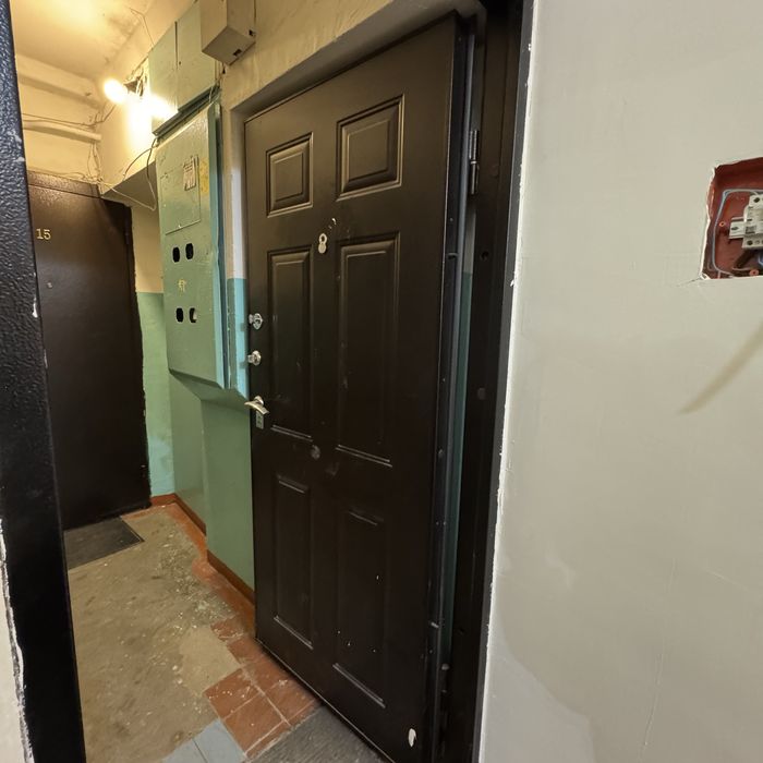 Дверь наружная металлическая