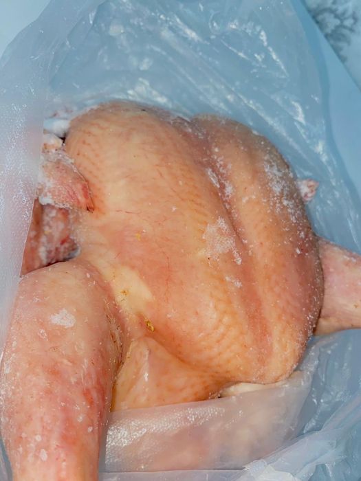 Бройллер домашние