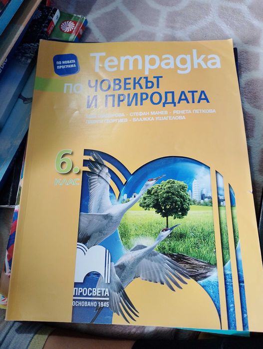 Учебници помагала и учебни тетрадки от 2 клас до 12 клас