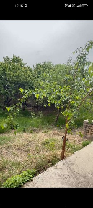 Земельный участок