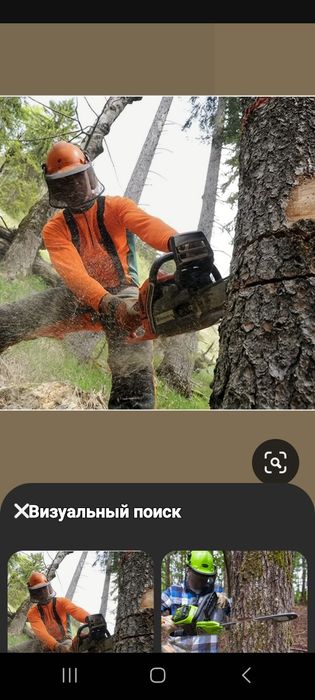 Дерева спил драва резка сандал чурка карагаш  төс