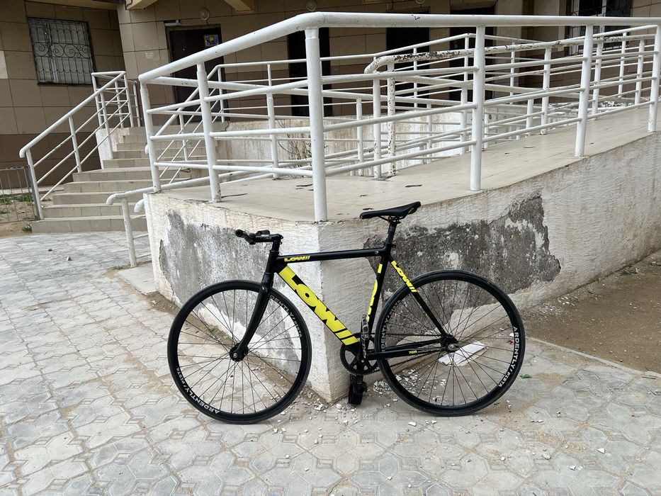 Фикс Lowii черно желтый