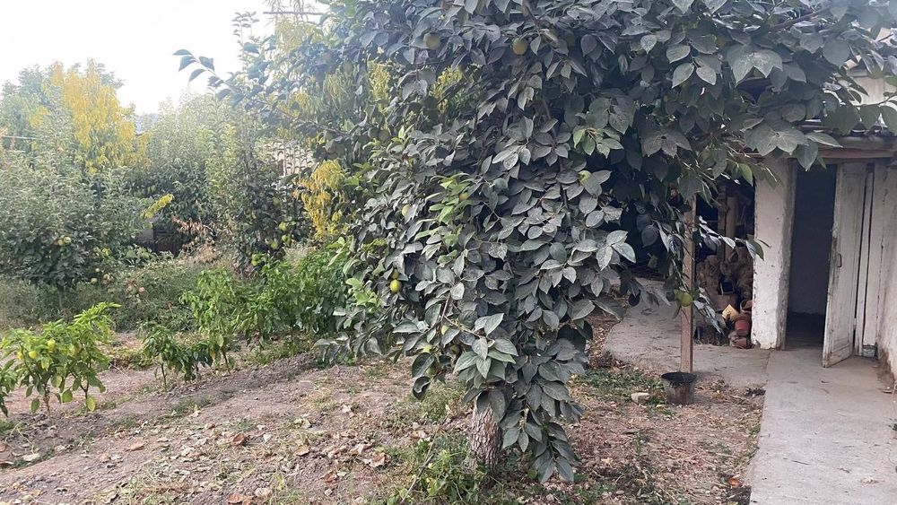 Uchastka 3 sotix sotiladi uzumzorda