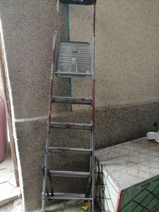 Стерянка целая 10000
