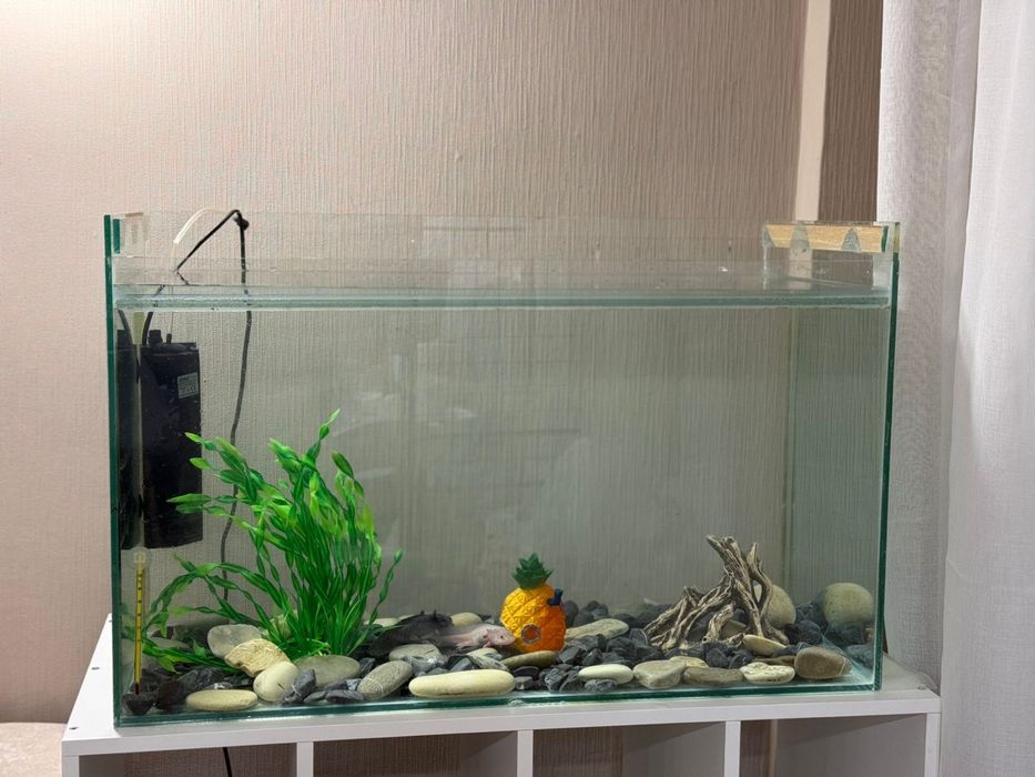 Продам аквариум 80х40х40