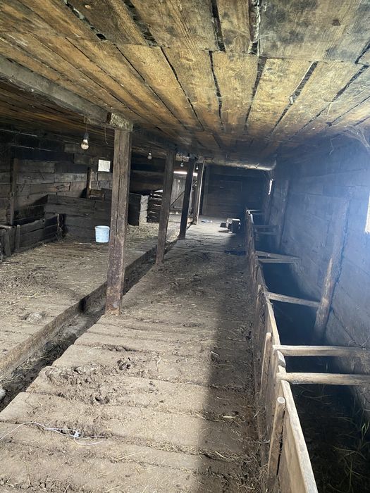 Дом в с Перцевка