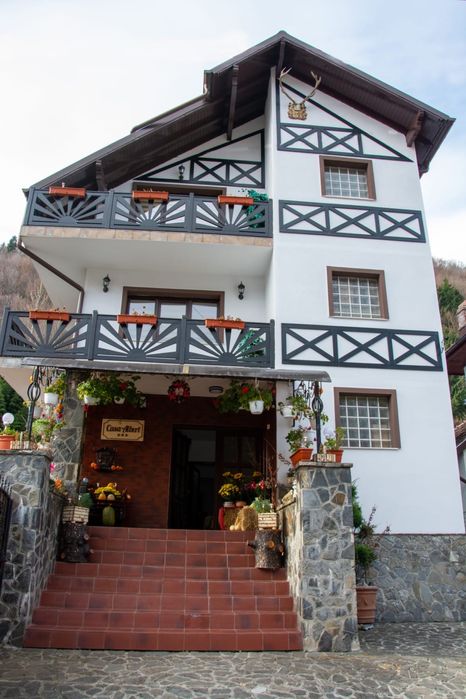 Vilă Revelion Sinaia