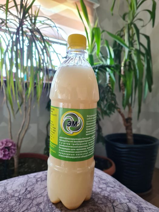 Эмэко концентрат