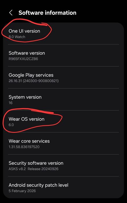 Samsung Galaxy Watch 6 classic 47mm LTE