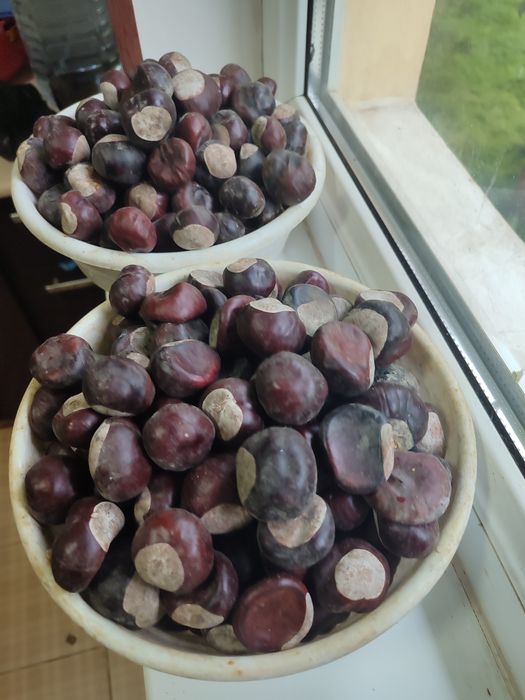 Каштаные орехи о