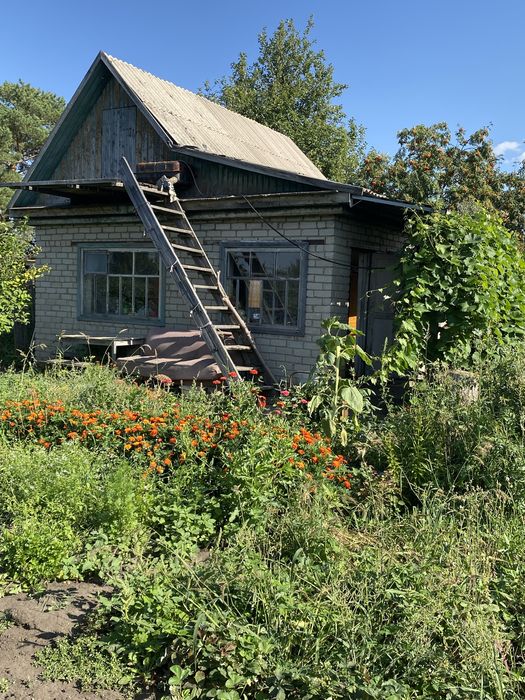 Продам дачу - два объединенных участка, общая площадь 12 соток!