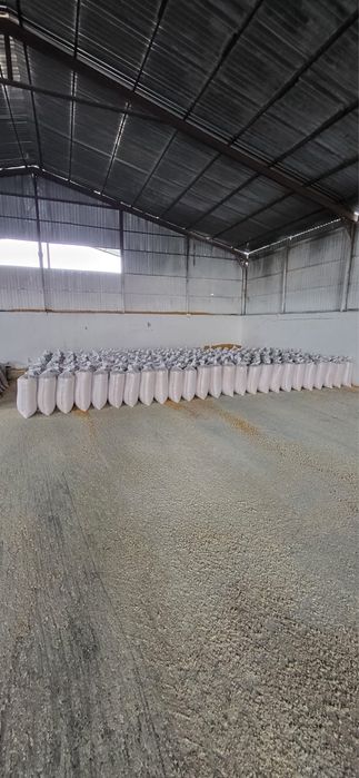 Vând porumb uscat gata pus in saci cu transport la domiciliu