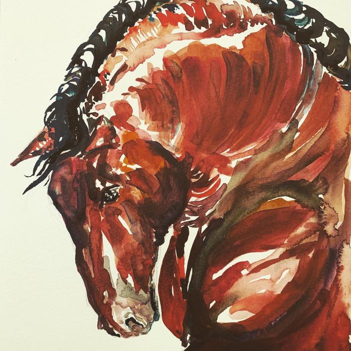 Картина - Акварел 36/41